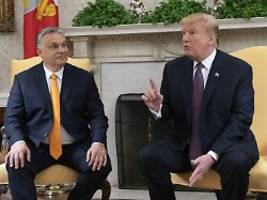 US-Präsident schreibt Orban: Trump sehr wütend über ukrainische Druschba-Angriffe