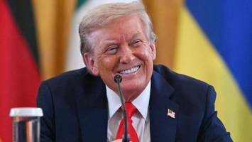 selenskyj-putin-treffen? trump mit bizarrer küchen-metapher