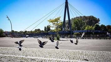 Wie ein Platz in Berlin gegen brutale Hitze geschützt werden soll