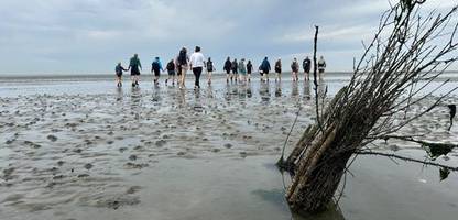 wattenmeer an der nordsee: klimawandel erhöht risiken beim erlebnistourismus im watt