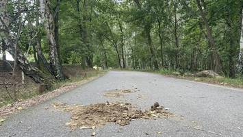Slalom im Naturschutzgebiet – Pferdeäpfel sorgen für Unmut