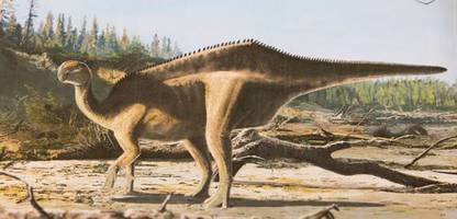 Neue Dinosaurier-Art: Segel-Dino auf Isle of Wight entdeckt