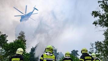 Waldbrand: Kleine Änderung könnte „riesigen Unterschied machen“