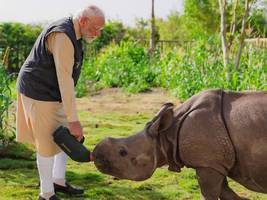 Nach SZ-Recherchen: Oberstes Gericht Indiens untersucht Zooprojekt Vantara