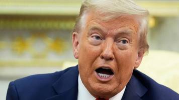 Trumps Kapitalismus: „Das nennt man Business“: Trump will bei mehr US-Firmen rein