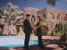 die bachelors: ein finale, vier verlierer
