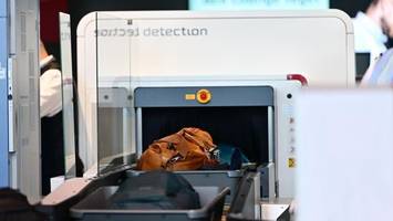 schneller durch die kontrolle: ber setzt auf moderne ct-scanner