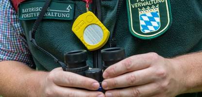 Gesundheitswesen: Beamte werden immer teurer