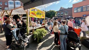 Bergedorfer Schlossstraßenfest geht in die zweite Runde