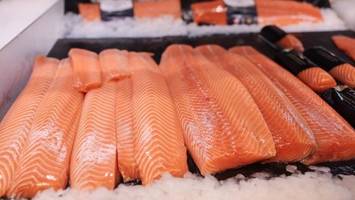 Fischkonsum in Deutschland – Hamburg stellt sich gegen den Trend