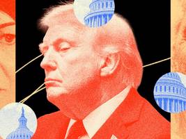 Donald Trumps Washington: Ein Sumpf, den niemand mehr trockenlegt