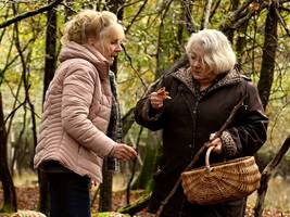 kino: jeder pilz hat einen giftigen zwilling