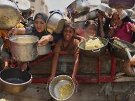 rücknahme gefordert: israel sieht hungersnot-bericht als gefälscht an