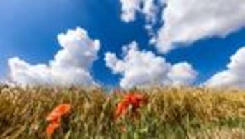 wetter-bilanz: august in sachsen-anhalt wärmer und trockener als im schnitt