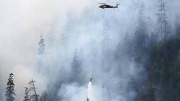 us-behörde nimmt feuerwehrleute fest – während der wald brennt
