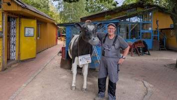 Kleines Idyll: Was wird aus dem Kinderbauernhof in Wilhelmsburg?