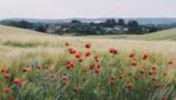 Uckermark: Ist hier noch wer?