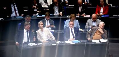Verstöße gegen Parteiengesetz: AfD musste 1,1 Millionen Euro zahlen