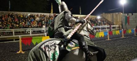 Peta wirft Mittelalterlichem Spectaculum in Gundelfingen Tierquälerei vor: Das sagt der Verantwortliche