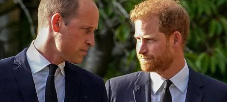 Prinz William als Patenonkel – sorgt ein Baby für Versöhnung mit Prinz Harry?