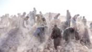 naturkatastrophe: staatsagentur: rund 250 tote bei erdbeben in afghanistan