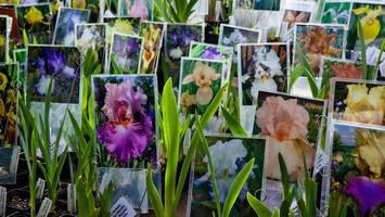 Was Besucher auf dem Staudenmarkt im Botanischen Garten erwartet