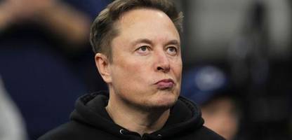 elon musk: tech-milliardär unterstützt afd im kölner kommunalwahlkampf