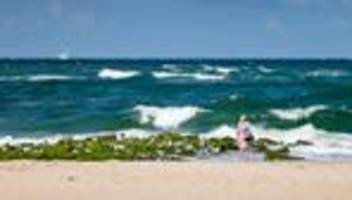 klimaerwärmung: nordsee im sommer außergewöhnlich warm