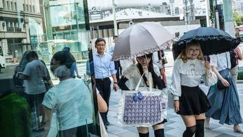 Japan gibt Bären zum Abschuss frei – auch in Städten