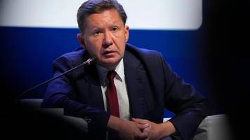 Rohstoffe: Neue Pipeline soll mehr russisches Gas nach China bringen