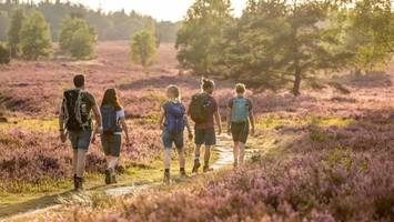 lüneburger heide voll im trend: august bringt besucherrekord