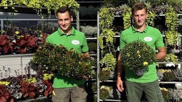 Diese Pflanzen machen im Spätsommer den Garten prächtig