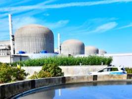 Produktion um Hälfte gedrosselt: Quallen stören Betrieb von französischem Atomkraftwerk