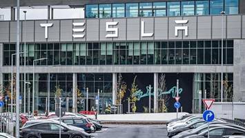 Tesla kommt nach Köpenick: Was sich der Bezirk davon verspricht