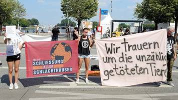 „schlachthäuser schließen“: bekannter influencer bei demo in hamburg