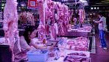 Handelskonflikt: China verhängt wegen Dumpings Strafzölle auf EU-Schweinefleisch