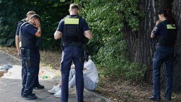 Auto erfasst Kindergruppe – Polizei entdeckt bei Fahrer Marihuana