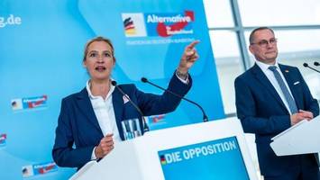 zdf-politbarometer: afd setzt höhenflug auch im bund fort