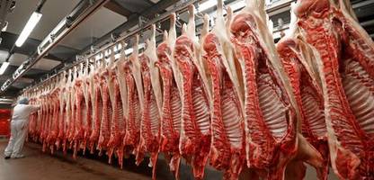 China verhängt Zölle auf Schweinefleisch aus der EU