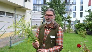 Gesund dank Garten: „Exotische“ Therapie im Grünen hilft Berlinern