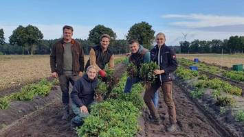Wegen des Klimawandels wachsen jetzt Exoten auf deutschen Feldern