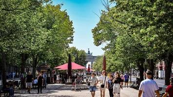 sondersitzung im umweltausschuss zum „volksentscheid baum“