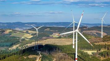 Windräder in Berlin? So geht es für die möglichen Standorte weiter