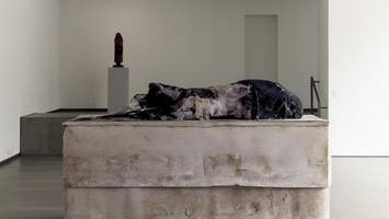 jenischpark: die berührende und schockierende kunst einer belgierin