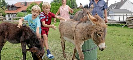 „Noch nie gesehen“: Esel-Zwillinge Minni und Michl im Unterallgäu gelten als Sensation