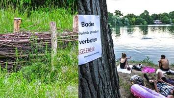 925 meter lange ufer-hecke am weißen see: wand heilt umweltwunde
