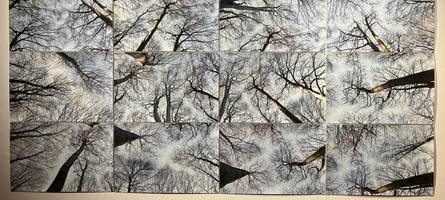 das kunstforum oberschönenfeld zeigt den wald in foto, film und malerei