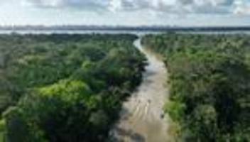 cop30 in belém: diplomaten im sex-motel