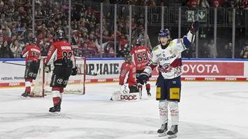 Eisbären: Der Gejagte, der wie ein Jäger denkt
