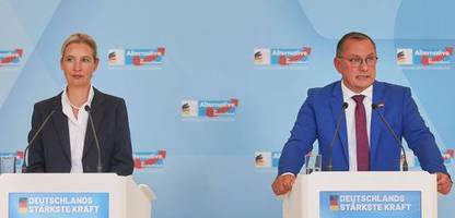 afd-fraktion will wehrpflicht wiedereinführen
